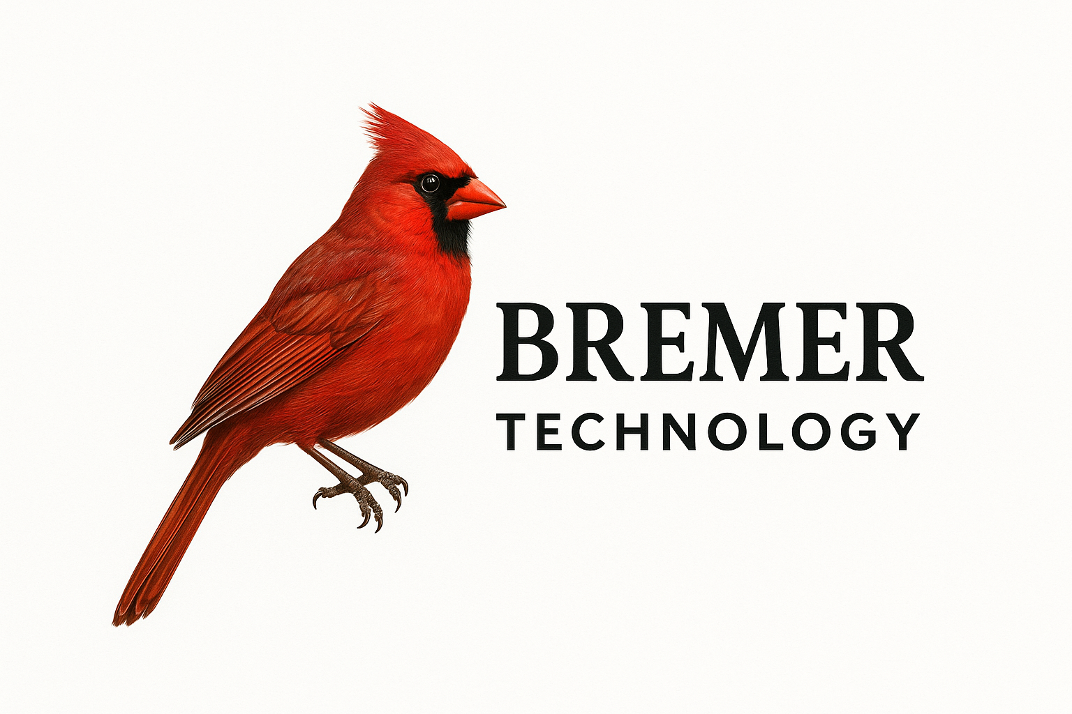 Bremer Technology